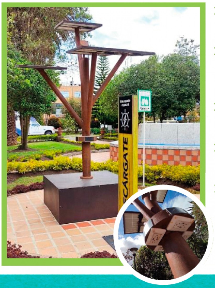 ¿Sabes las nuevas medidas para utulizar el árbol solar?